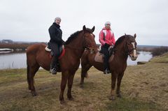 Конное подворье. Верховая прогулка по бескрайним и бесснежным полям 12 января 2014 года